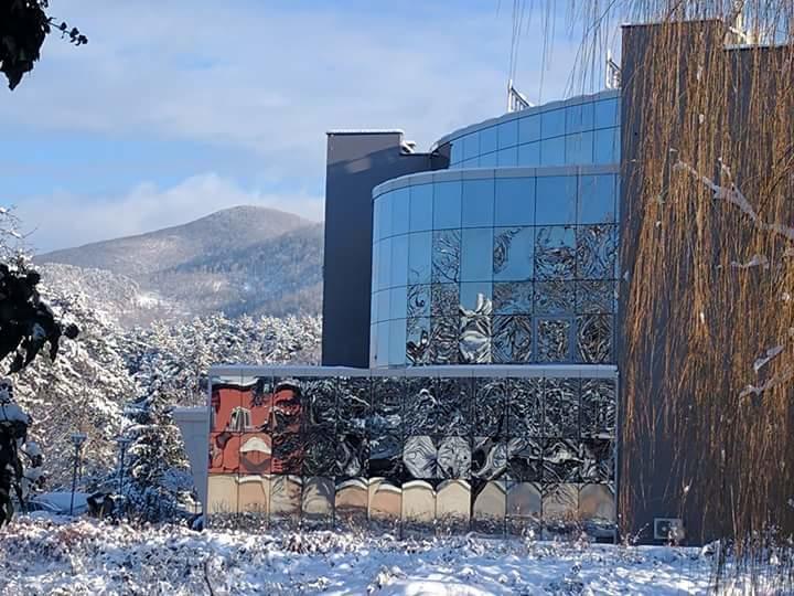 Spa Hotel Ata Varsjets Eksteriør bilde